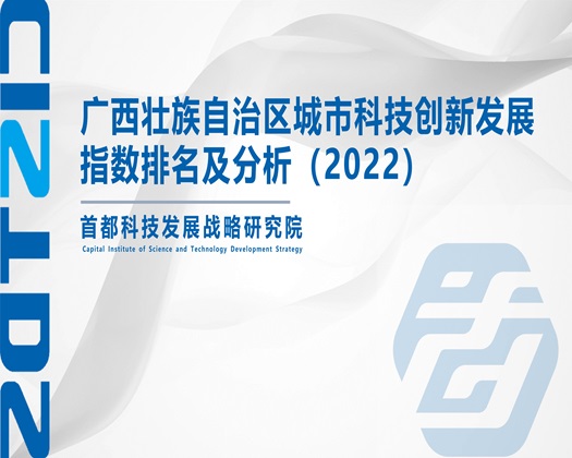 男人操女人逼视频网站【成果发布】广西壮族自治区城市科技创新发展指数排名及分析（2022）